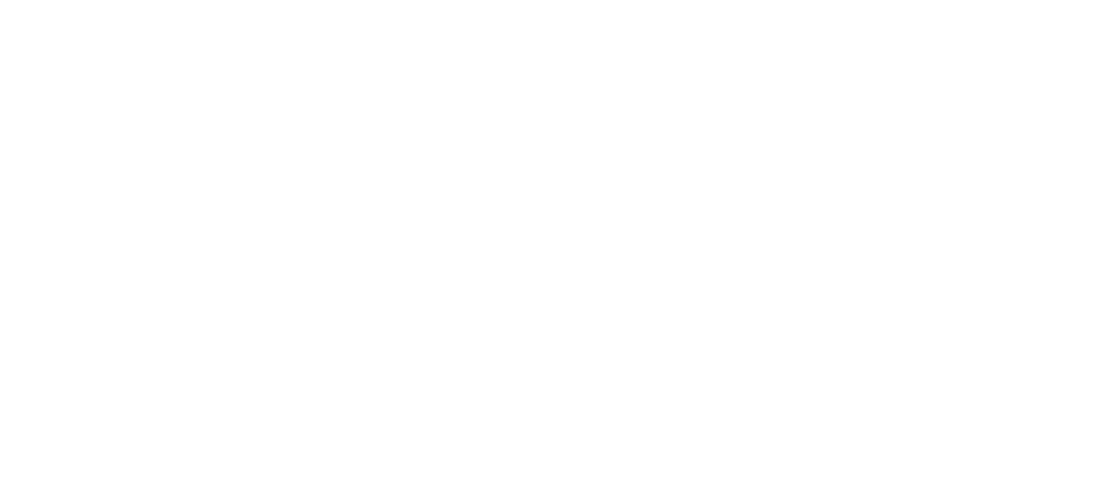 PTS logo