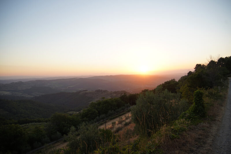 Tuscan Sunset Vineyards