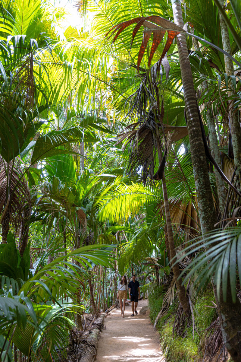 La Cigale estate gardens seychelles home rent