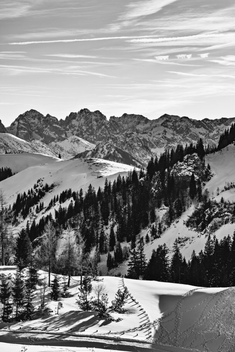 Black and white snow landscape austria