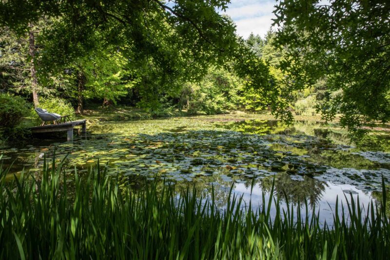 Château-Calme-Lily-Pond-1-Canton