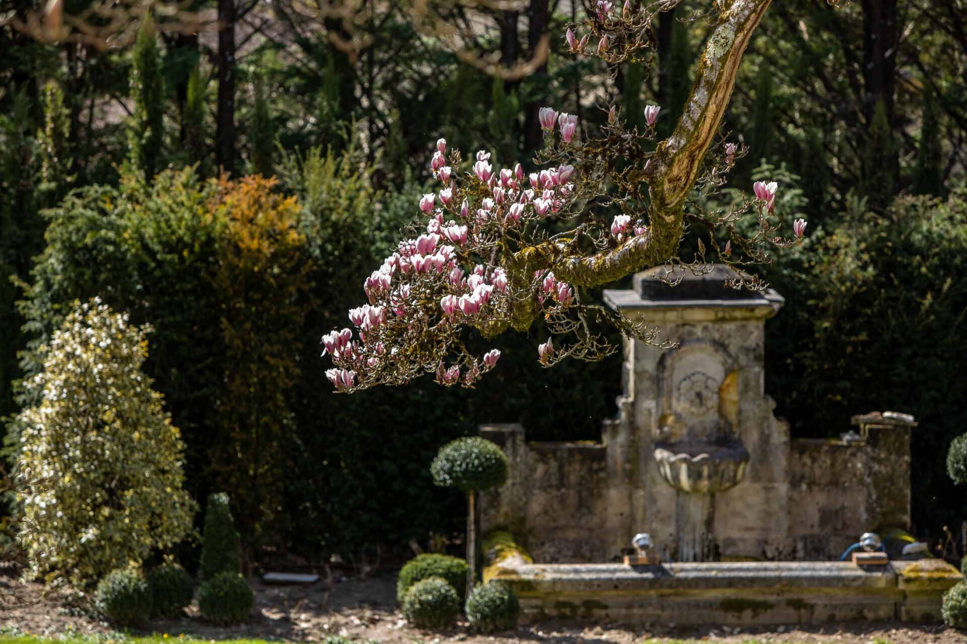 Chateau-calme-canton-gardens