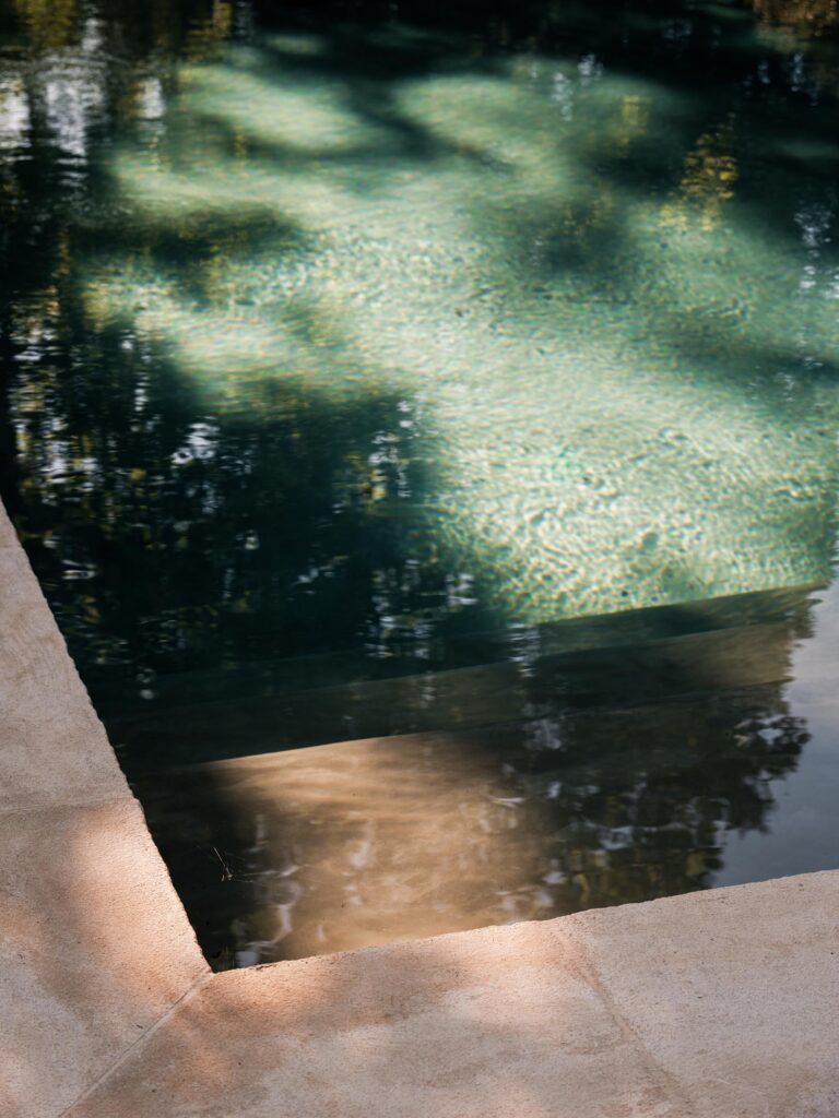 Luxury swimming pool in alpilles Provence