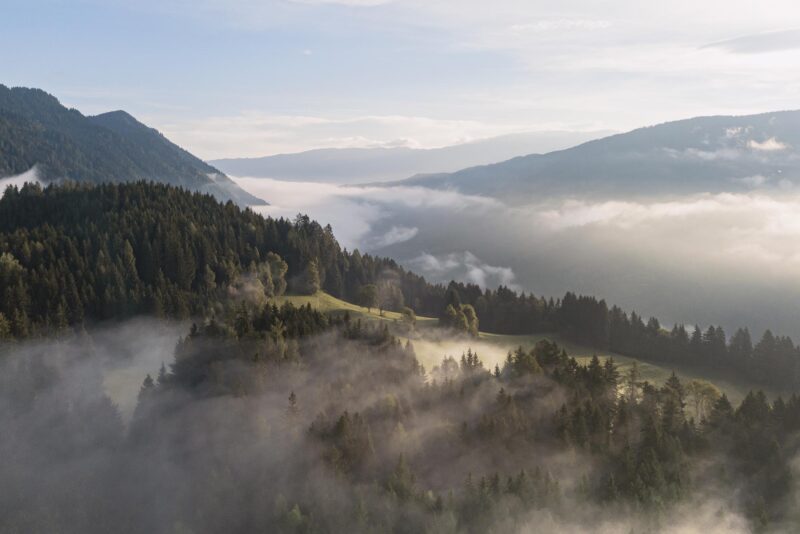 Forest-Farmhouse-Austria-09