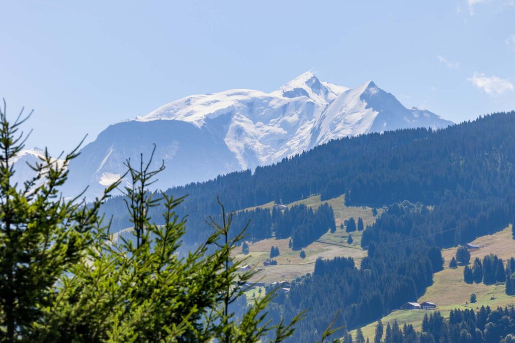 Megève-crystals-chalet-036