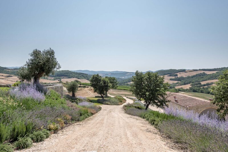 lane leading towards luxury hidden villa to rent in Tuscany