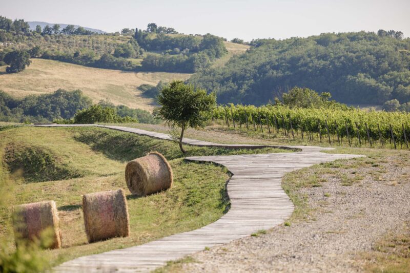 Villa-Celebrare-Siena-Tuscany-040