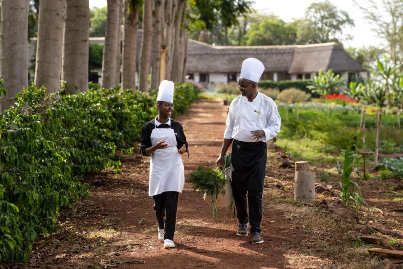 Northern-Tanzania-experience-05