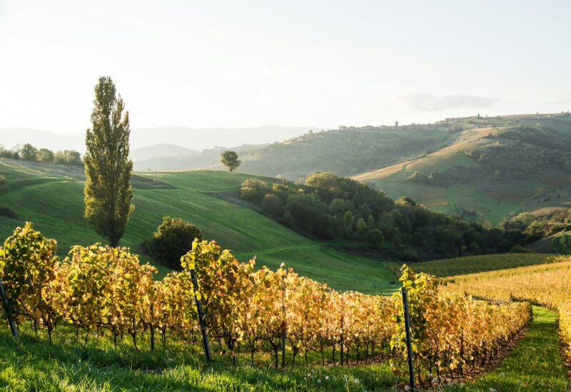 lucas-gallone-CD1ha1TPQnY-unsplash